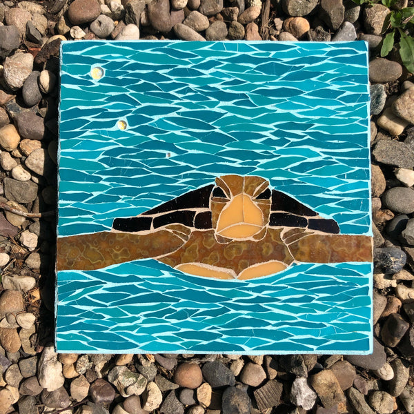 Turtle Mosaic —The C Glass Studio